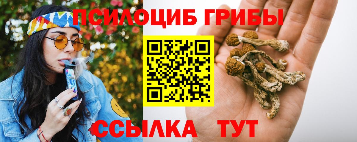 Псилоцибиновые грибы Cubensis  Вход с VPN  Холмск 