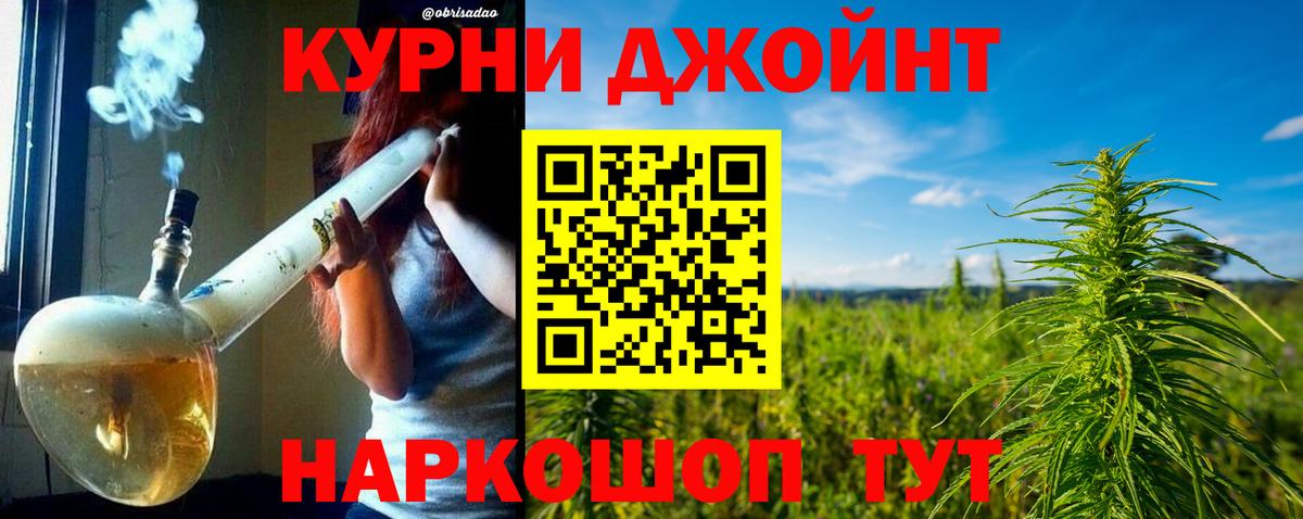 Конопля план Холмск